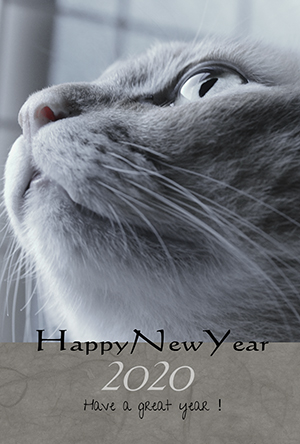 無料年賀状 テンプレート 猫の年賀状 にゃん賀状 猫 テンプレート  令和2年 2020 年賀状 無料