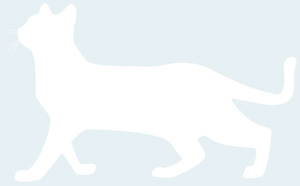 猫素材 にゃん賀状 猫 シルエット イラスト 素材 2019 平成31年 フリー素材 無料